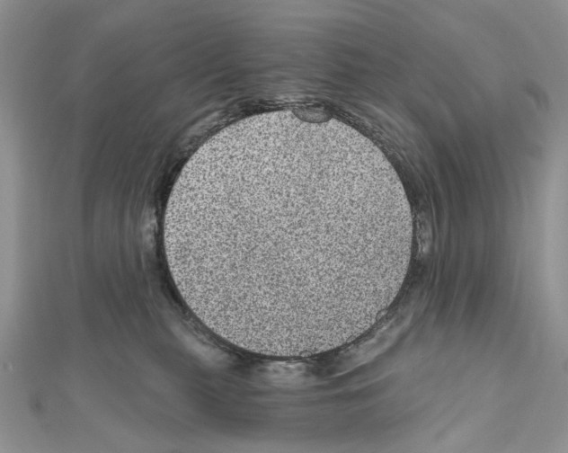 X0000111640279200908281204