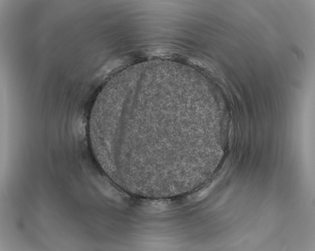 X0000111640282200908281204