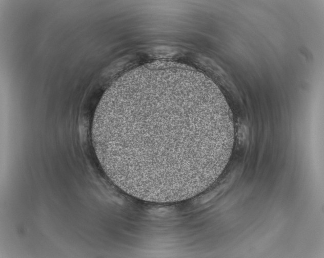 X0000111640283200908281204