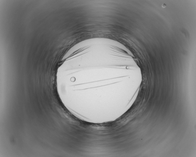 X0000111640284200908281204