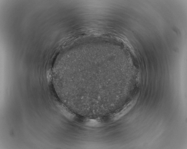 X0000111640285200908281204