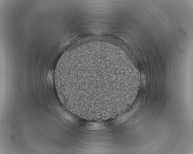 X0000111640286200908281204