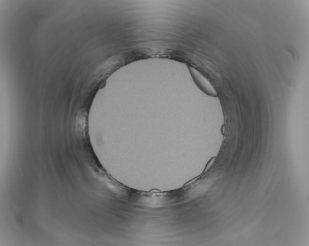 X0000111640288200908281204