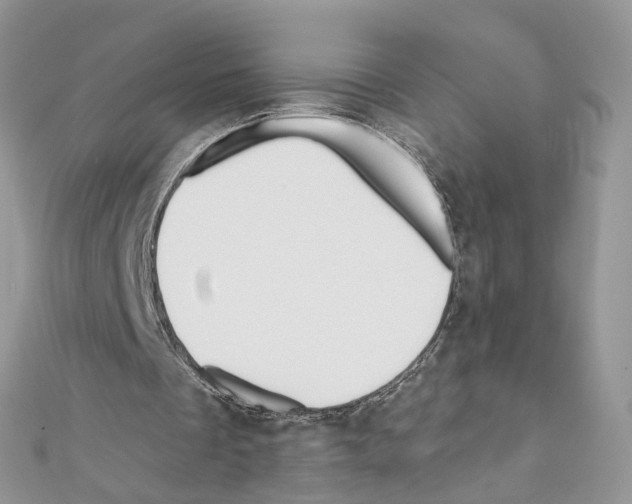 X0000111640289200908281203