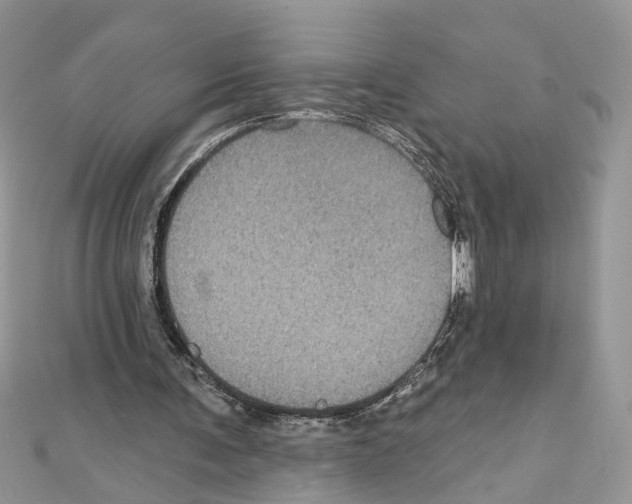 X0000111640291200908281203