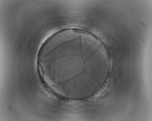 X0000111640292200908281203