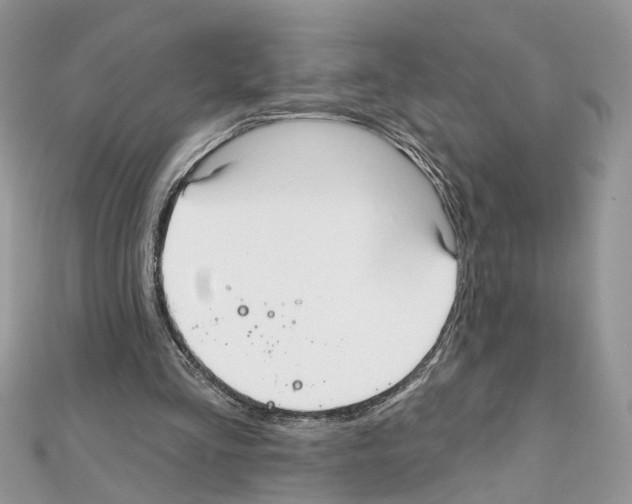 X0000111640293200908281203