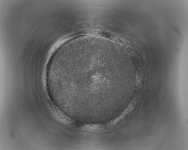 X0000111640294200908281203