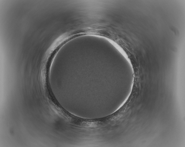 X0000111640295200908281203