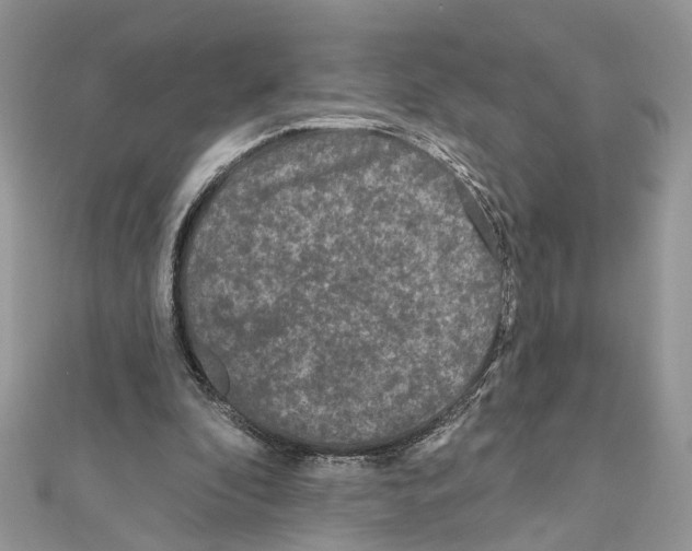 X0000111640296200908281203
