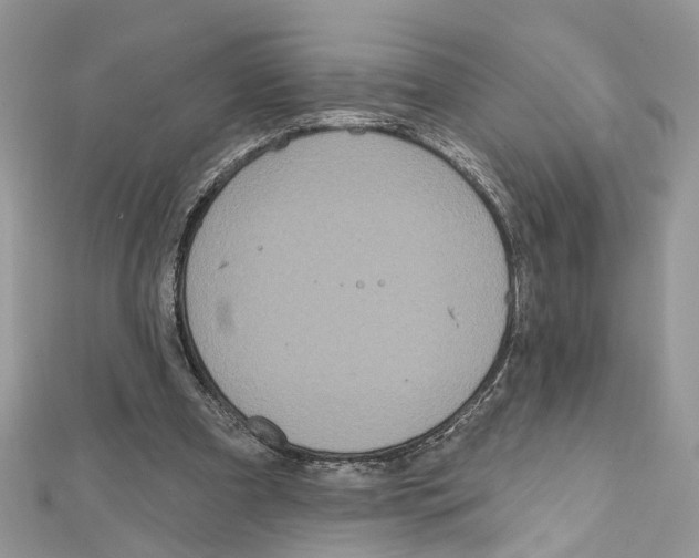 X0000111640297200908281203
