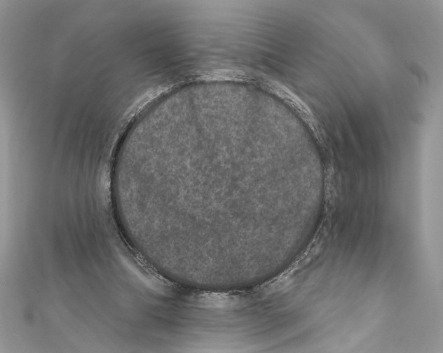 X0000111640298200908281203