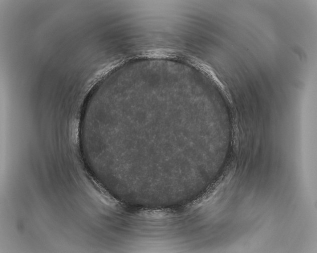 X0000111640299200908281203