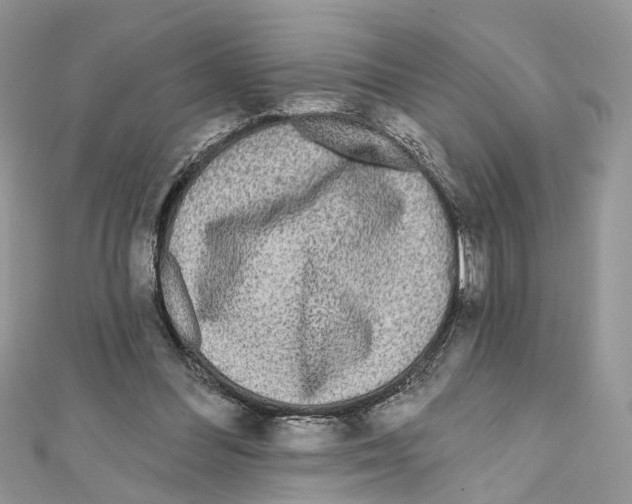 X0000111640300200908281203