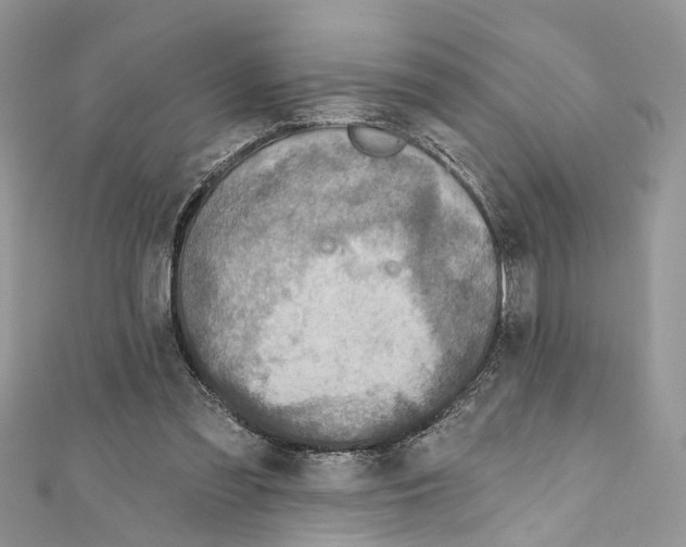 X0000111640301200908281203