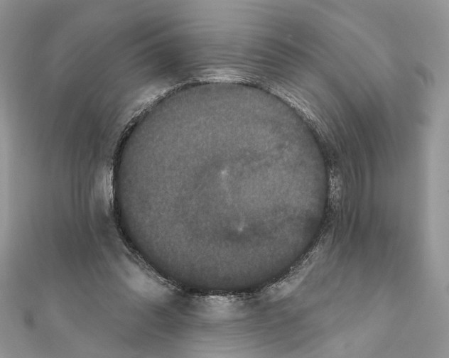 X0000111640302200908281203