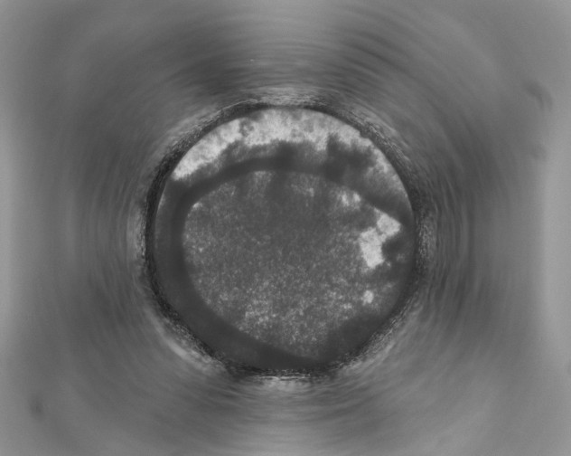 X0000111640303200908281203
