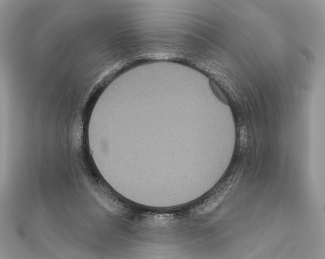 X0000111640304200908281203