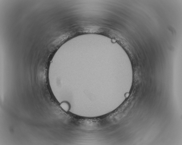 X0000111640305200908281203