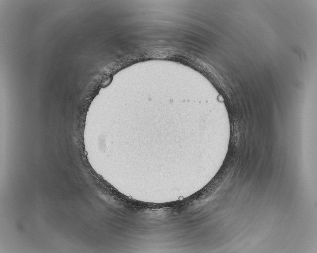 X0000111640307200908281203