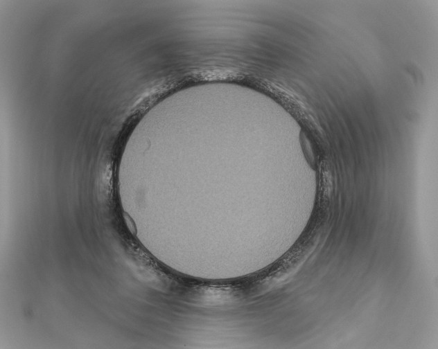 X0000111640308200908281203