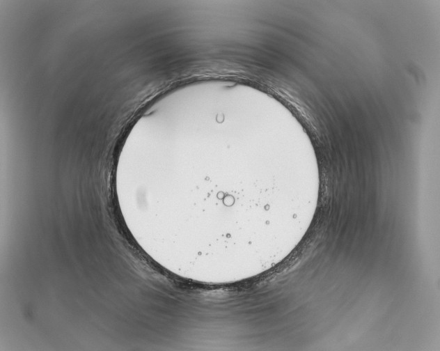 X0000111640309200908281203