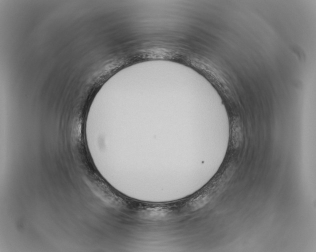 X0000111640310200908281203