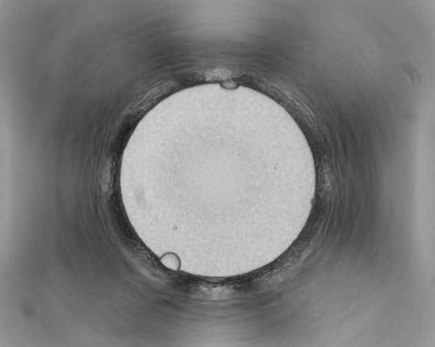 X0000111640311200908281203