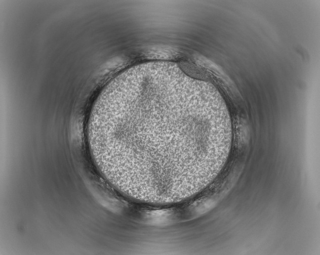 X0000111640312200908281203