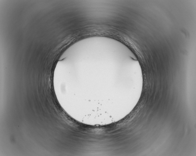 X0000111640313200908281203