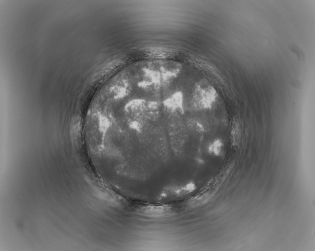 X0000111640314200908281203