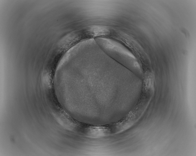 X0000111640316200908281203