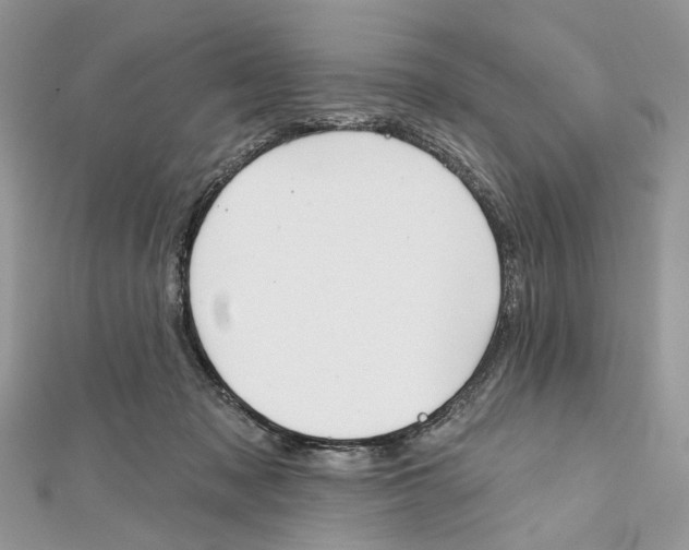 X0000111640317200908281203