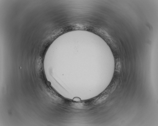X0000111640318200908281203