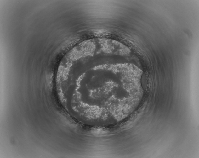 X0000111640319200908281203