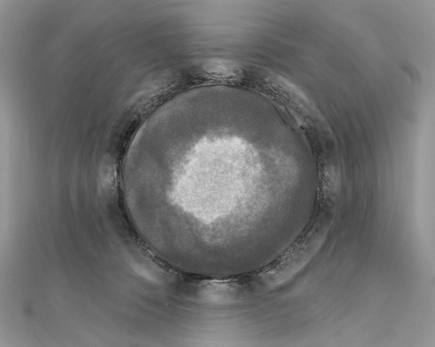 X0000111640320200908281203