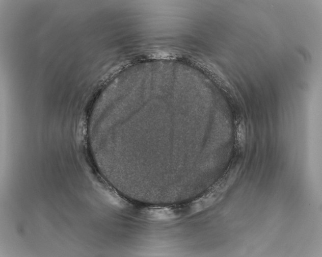 X0000111640322200908281203