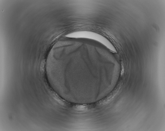 X0000111640325200908281203