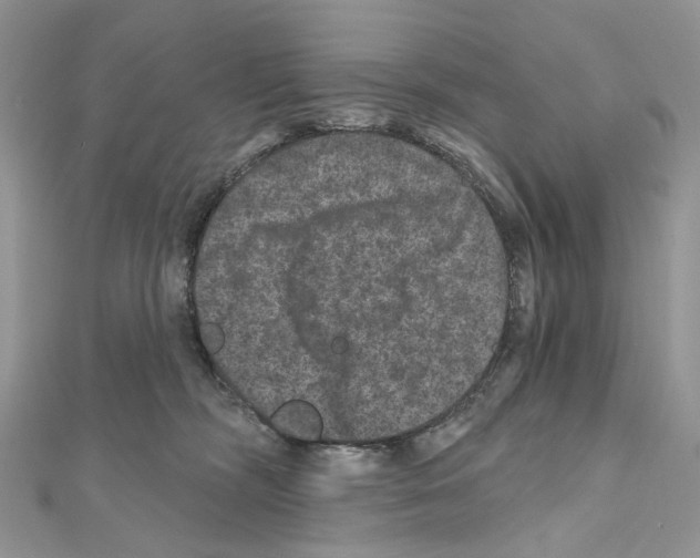 X0000111640326200908281203