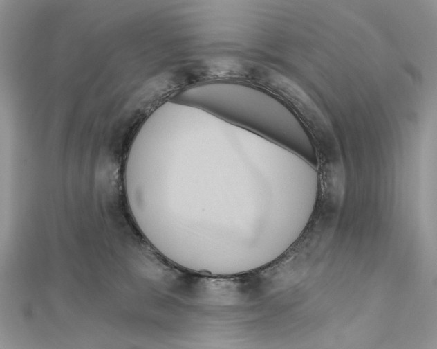 X0000111640327200908281203