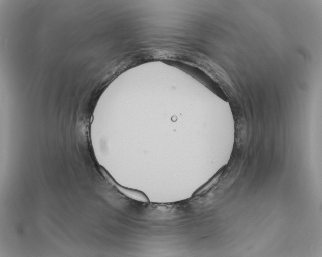 X0000111640329200908281203