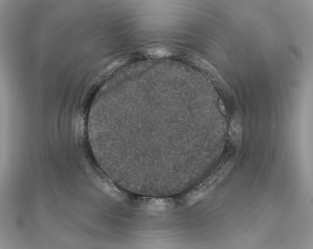 X0000111640330200908281203