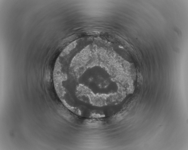 X0000111640331200908281203