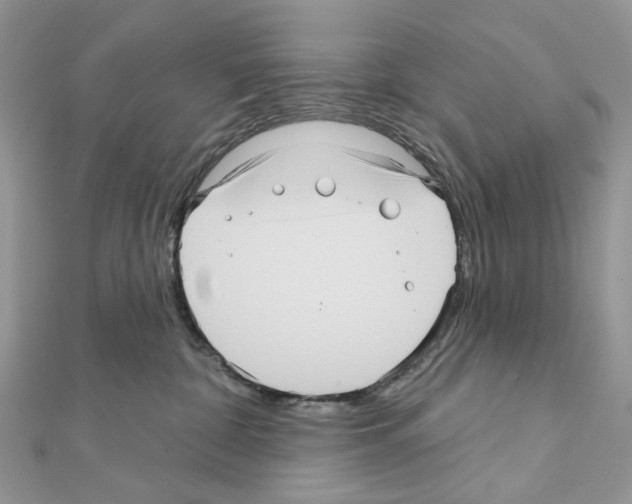 X0000111640332200908281203