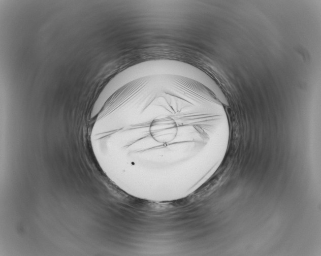 X0000111640333200908281203