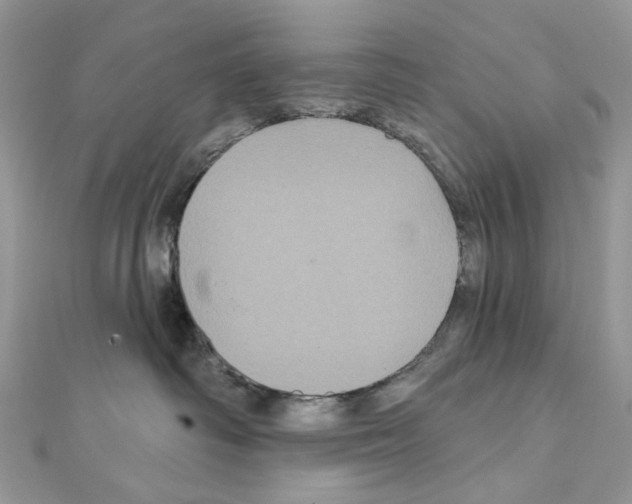 X0000111640334200908281203