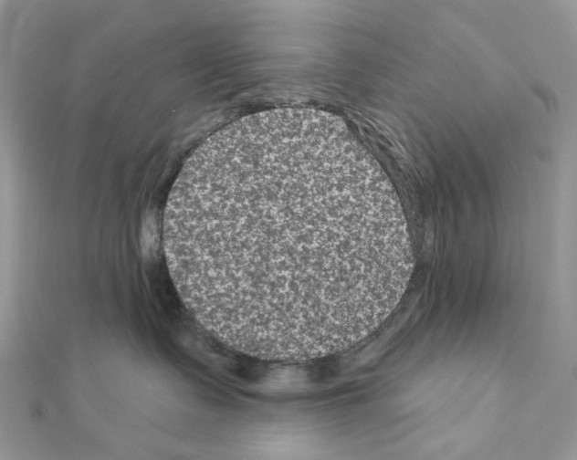 X0000111640335200908281203