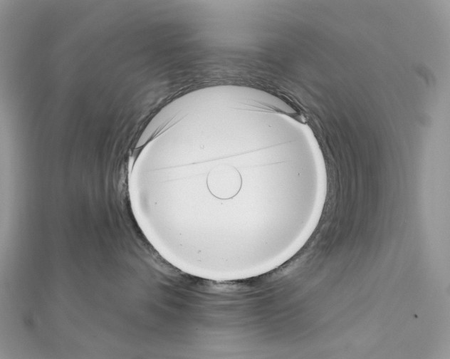 X0000111640336200908281203