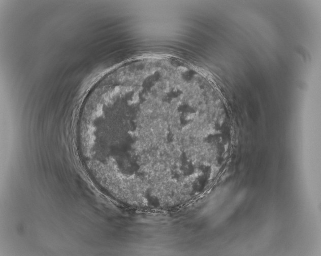 X0000111640337200908281202