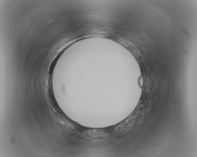 X0000111640338200908281202